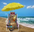Cat with cocktail on a beach chair Royalty Free Stock Photo