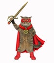 Cat super hero with a sword