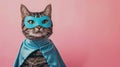 The Cat in Superhero Costume.AI generated image Royalty Free Stock Photo