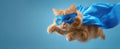 The cat in a superhero costume soaring through the sky with style..AI generated image Royalty Free Stock Photo