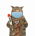 Cat in surgical mask with thermometer Royalty Free Stock Photo