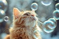 Cat surrounded by soap bubbles. Kitten playing with soap bubbles. Generative AI Royalty Free Stock Photo