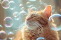 Cat surrounded by soap bubbles. Kitten playing with soap bubbles. Generative AI Royalty Free Stock Photo