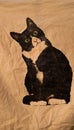 Cat with a suspicious look printed on a cloth Royalty Free Stock Photo