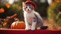 cat on a table A charming kitten with a curious expression, atop a red fence, wearing a hat