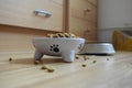 Cat table with granule and water bowl Royalty Free Stock Photo
