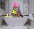 Cat takes bath at hotel Royalty Free Stock Photo