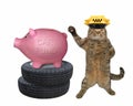 Cat taxi driver near piggy bank Royalty Free Stock Photo