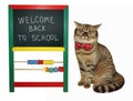 Cat with kids blackboard 2