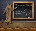 Cat teacher writing on blackboard 3 Royalty Free Stock Photo