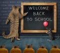 Cat teacher writing on blackboard Royalty Free Stock Photo
