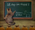 Cat teacher writes on a blackboard