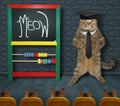 Cat teacher wrote meow 3