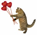 Cat with three hearts 2 Royalty Free Stock Photo