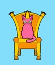 Cat on throne. Regal pet boss. Royal chair. Vector illustration Royalty Free Stock Photo