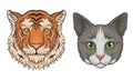 Cat and Tiger Muzzle with Fur Vector Set