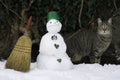 Cat and tiny snowman with broom and green plastic cap. Striped cat and snowman