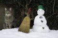 Cat and tiny snowman with broom and green plastic cap. Striped cat and snowman.