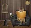 Cat with tit and rat reads a book Royalty Free Stock Photo