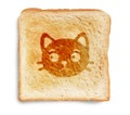 Cat on toasted bread