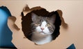 Cat tore a hole in a paper background. Generative AI