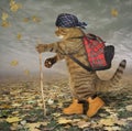 Cat tourist in park Royalty Free Stock Photo