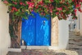 Cat at the tree with flowers near the door with Arabic ornament in Sidi Bou Said, Tunisia