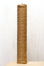 Cat tree and furniture, sisal rope cat scratching post on beige carpet Royalty Free Stock Photo