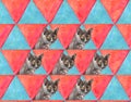 Cat on triangles multicolored background. Duplicate the grey female cat in the picture. Watercolor and photo as pop art style for