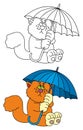 Cat with umbrella Royalty Free Stock Photo
