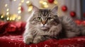 Cat under the tree next to Christmas gifts, lantern and decorations Royalty Free Stock Photo