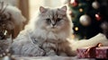 Cat under the tree next to Christmas gifts, lantern and decorations Royalty Free Stock Photo
