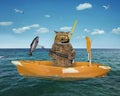 Cat underwater hunter in a yellow boat