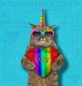 Cat unicorn holding a rainbow heart 2