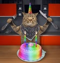 Cat unicorn with a birthday cake 2 Royalty Free Stock Photo