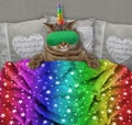 Cat unicorn with a sleep mask in the bed Royalty Free Stock Photo