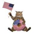 Cat with usa donut and flag