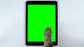 The cat uses a tablet. Close-up of cat`s paw typing on the tablet. Tablet with a green background.