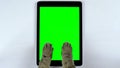 The cat uses a tablet. Close-up of cat`s paws typing on the tablet. Tablet with a green background.