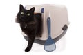 Cat using a closed litter box