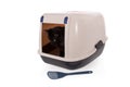 Cat using a closed litter box isolated