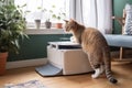 cat using a self-cleaning litter box, showing the mechanism