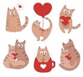 Cute cats in love collection. Romantic Valentines Day set. Cat with heart, kitten in cup, cats love, flying cat on balloon Royalty Free Stock Photo