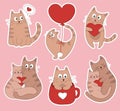 Set of sticker pack with cats Valentine\'s Day. Couple of cute cat in love. Kitten in cup, flying cat on balloon