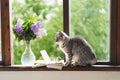 A cat, vase with lilac and open book on a vintage windowsill. Cozy spring concept. Royalty Free Stock Photo