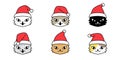 Cat vector Christmas Santa Claus hat calico kitten head icon logo symbol character cartoon illustration design Royalty Free Stock Photo