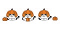 Cat vector halloween pumpkin kitten calico icon logo symbol ghost breed cartoon character illustration doodle clip art isolated de Royalty Free Stock Photo