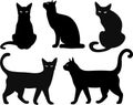 Cat vector silhouettes set. Isolated on white background, cats in different poses. isolated on a white background Royalty Free Stock Photo