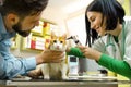 Cat at vet office , ears checkup Royalty Free Stock Photo