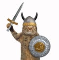 Cat in viking armor 2